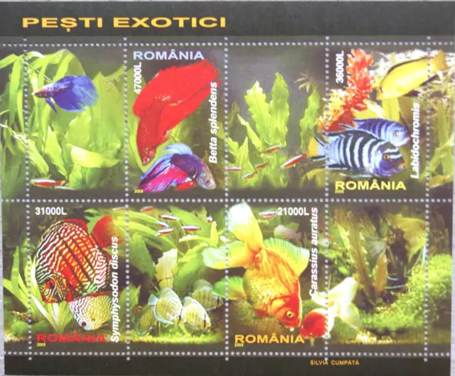 ROMANIA RUMÄNIEN 2005 Block 351 Zierfische Fische Fish Sea Life Fauna **