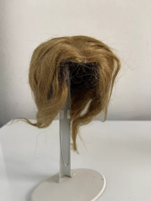 Belle Perruque Naturelle Pour Poupee Ancienne Jumeau, Bru, Steiner, Sfbj, T.8
