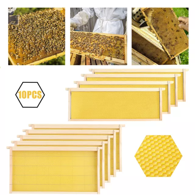 10Pcs Langstroth Beehive Box Beekeeping Honey Wooden Bee Hive Frames Beekeeper