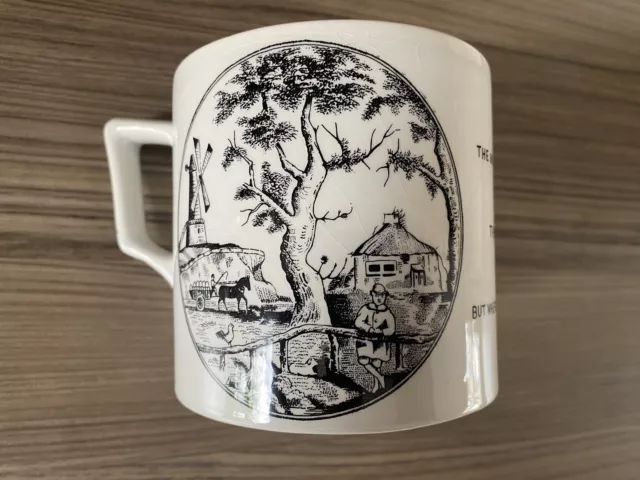 Taunton cider  Pint  Cider Mug 1977 Donkey Puzzle Ltd Edition