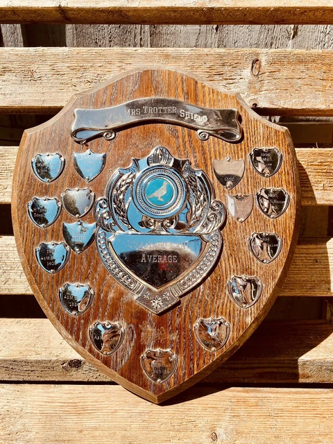 🏆 Big Vintage 1980’s Engraved Silver Trophy Wooden Shield EPNS  12” Trophies #E