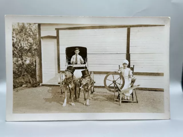 Vintage DOGS PULLING BUGGY Top Hats Pipe SPINNING WHEEL Real PHOTO Postcard RPPC