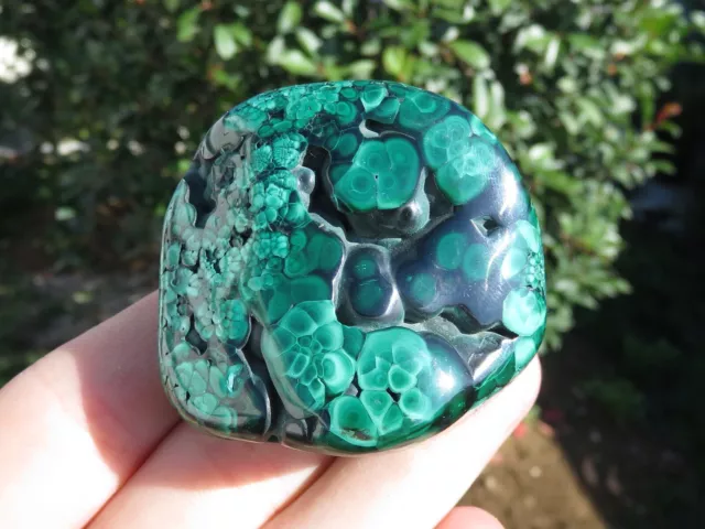 Minerali *** STUPENDA MALACHITE VERDE LUCIDATA Congo