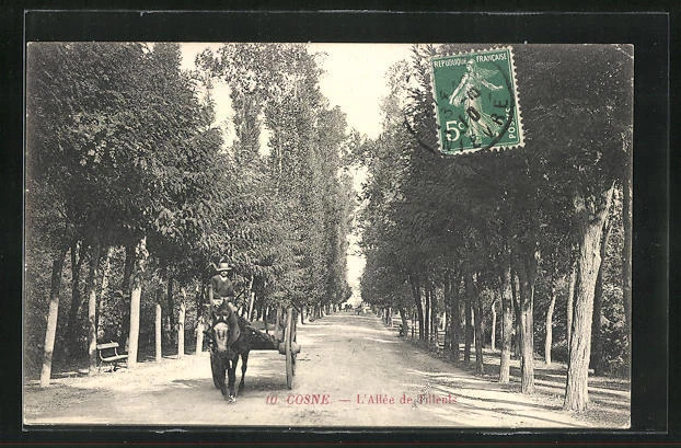 CPA Cosne, L´Allée de Tilleuls 1910