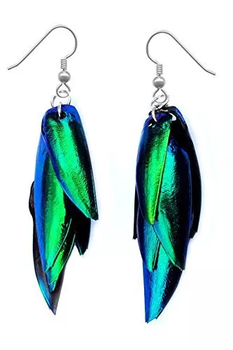 Real Blue Green Buprestid Beetle Wing Bug Elytra Earrings Silver Pair