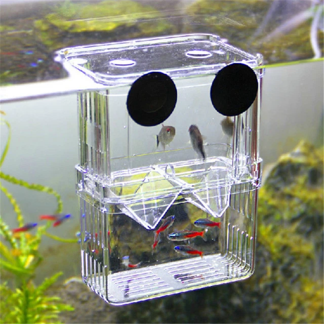 Fish Breeding Aquarium Box Tank Isolation Incubator Hatchery Breeder ca 2
