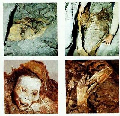 Greenland Mummies Buried Alive 500 Yrs Ago Inuit Norse Viking 250pix Smithsonian 2