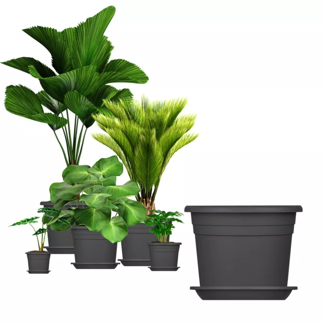 5x Blumentopf mit Untersetzer 18cm rund Kunststoff Pflanzkübel Töpfe anthrazit
