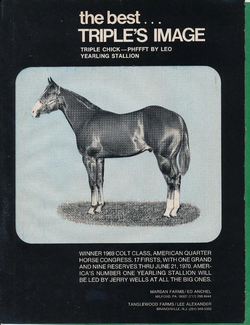 Magazine Ad - 1970 - Marsan Horse Farms - Milford, PA - TRIPLE'S IMAGE