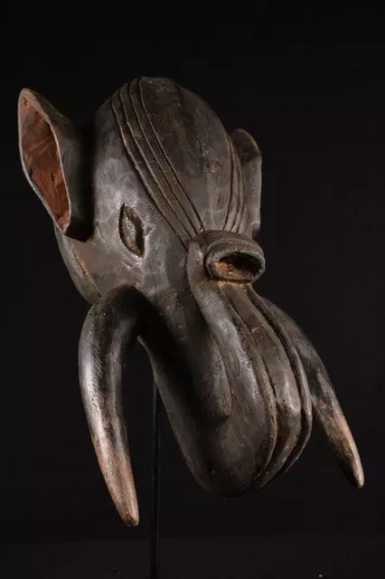 17588 African Large Bamileke Elephant Helmet Mask/Helmet Mask Cameroon