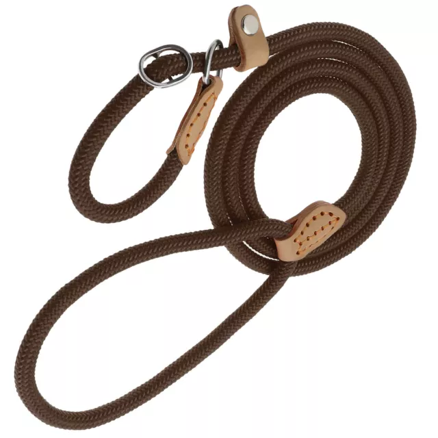 Dog Slip Lead Durable Strong Nylon Dog Training Leash Rope 152.2cm Brown