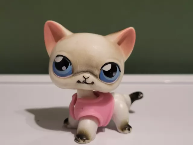 Lps #05 ?? Littlest Petshop Original Authentic Chat Europeen European Cat Hasbro