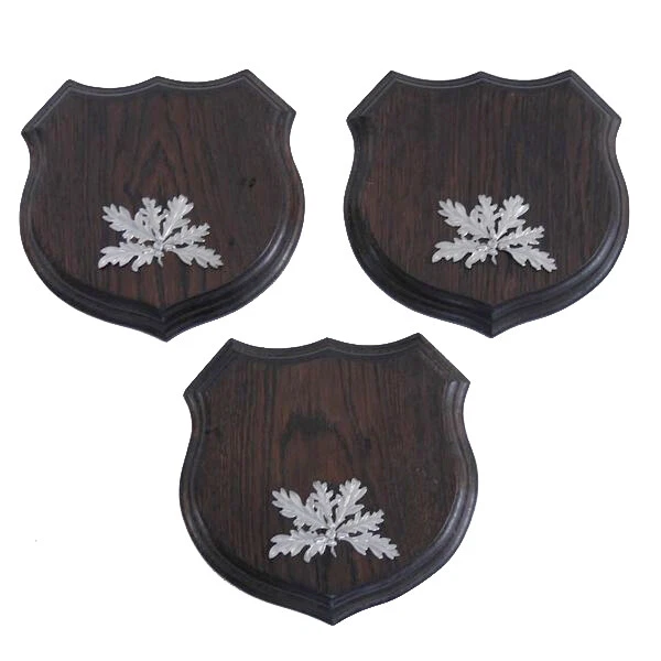 3x Wappenschilder Jabalí Af 17cm Escudo de Trofeo Hoja de Roble Portada Plata