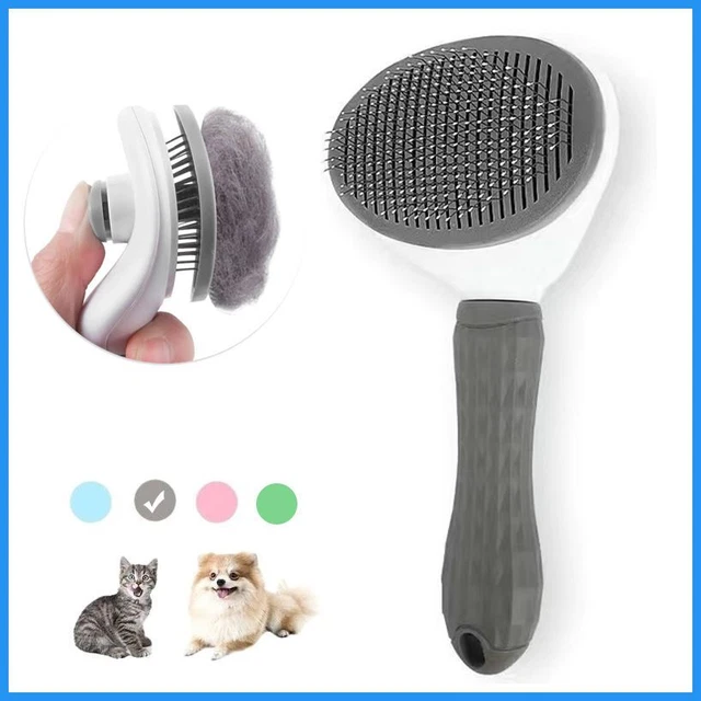 Brosse de toilettage antidérapante en acier inoxydable pour chat, accessoire pou