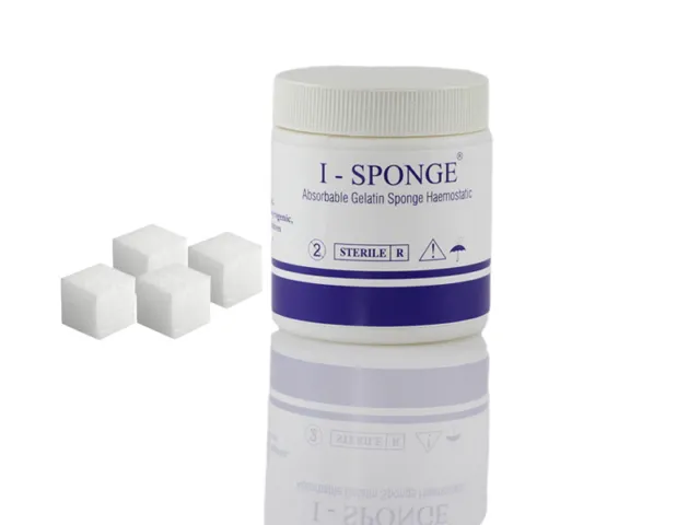 Absorbable Hemostatic Gelatin Sponges 50 pcs pack