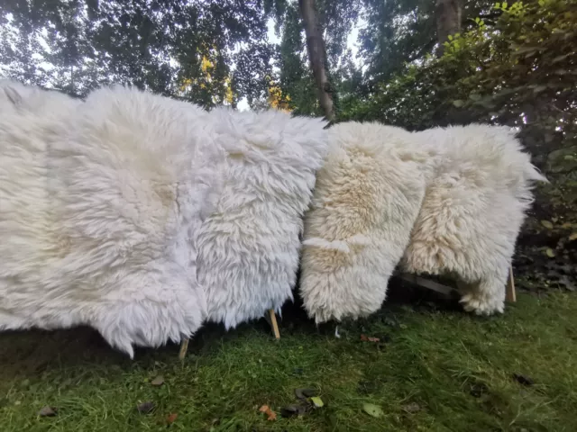 TOP XXL Lammfell Echtes Schaffell Teppich Deko 130-140cm naturweiß Sitzteppich