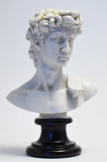 Statue Busto del David di Michelangelo - Bust of David (Made in Italy)