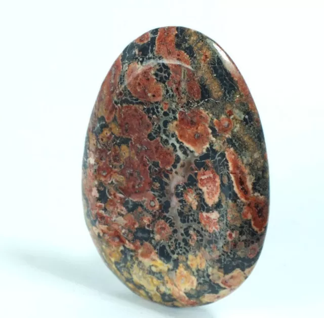 Leopardskin Jasper Worry Thumb Stone (EA719M)palm stone healing crystal 2