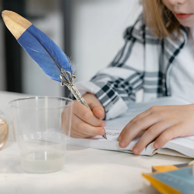 ensemble de de calligraphie Stylo Ensemble Coffrets Cadeaux Penne