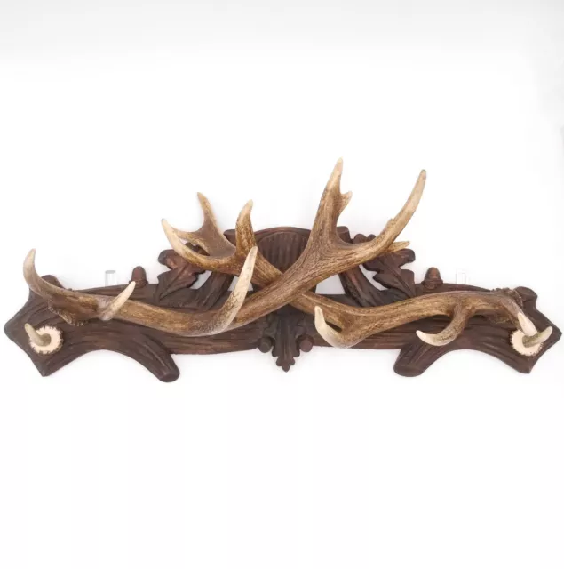 Antler Wardrobe Rothirschstangen Carved Board 14 Ender Pair Wall Coat Rack