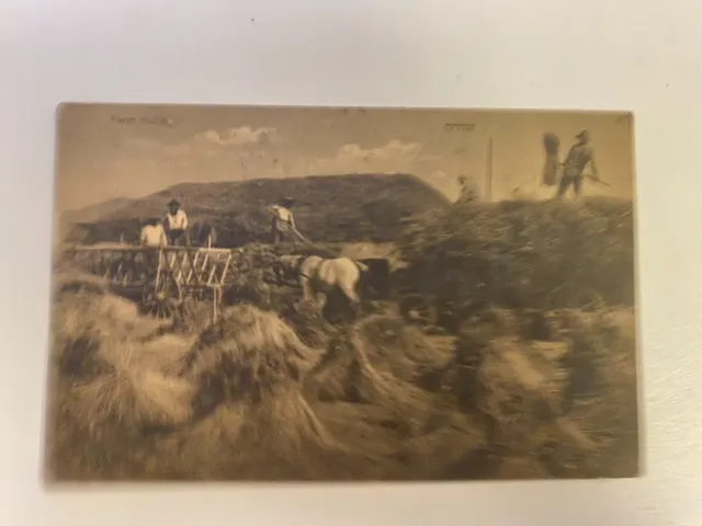 Kibbus Farm Hulda, Ansichtskarte, Postkarte, frühe Siedlung um 1910, Zionismus