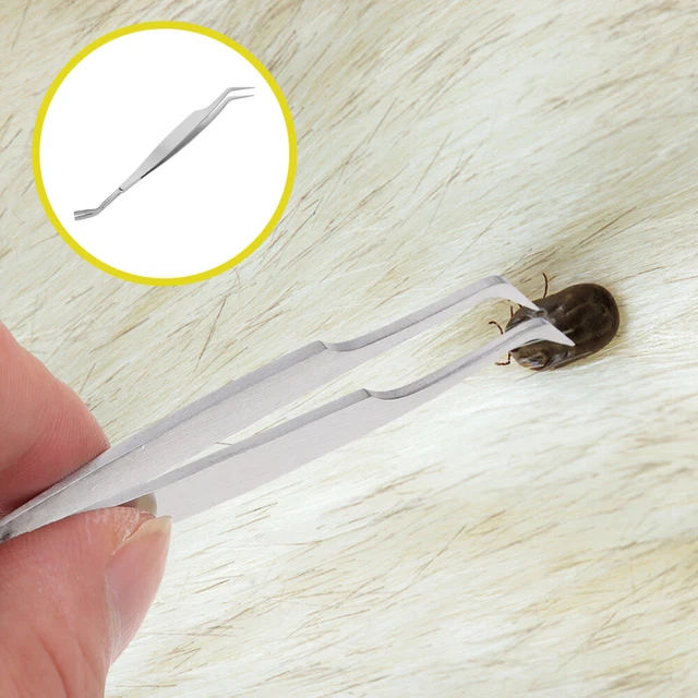 Pinzas con clip de acero inoxidable herramienta de limpieza para mascotas clip para mascotas perlado