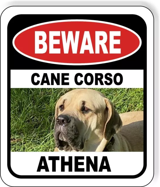 Beware Cane Corso ATHENA dog Metal Aluminum composite sign