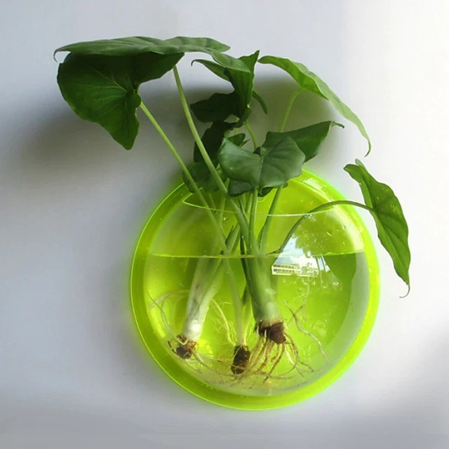 15cm Plant Wall Mounted Hanging Aquarium Tank Fish Bowl Flowerpot Vase Decor