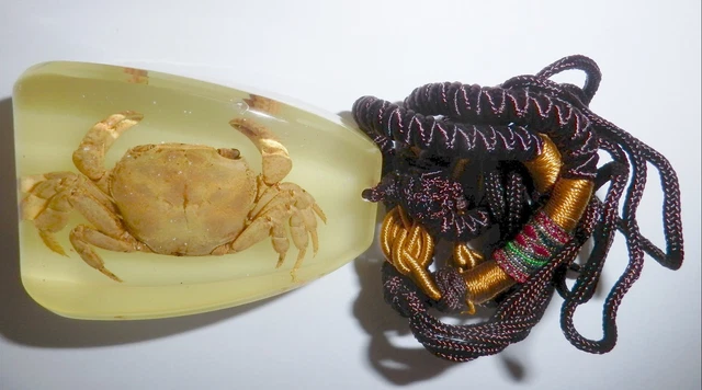 Animal Large Resin Necklace River Crab Specimen Glow in the Dark YD12