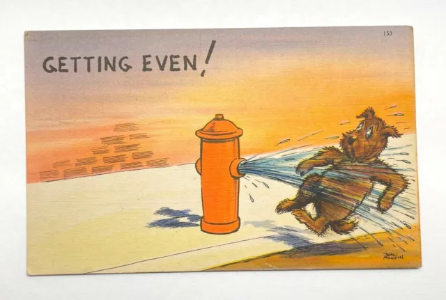 Fire Hydrant Spraying Water Dog Getting Even VTG Linen Postcard Used