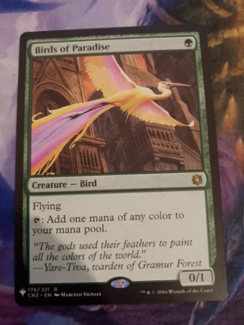 Paradiesvögel MTG