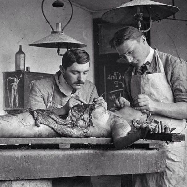 Antique Autopsy Post Mortem Photo 127b Oddleys Strange & Bizarre 2
