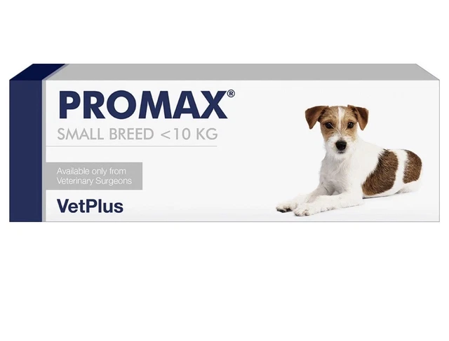 VETPLUS PROMAX SYRINGE for Sml Dogs 9ml 10kg Free Next Day Delivery £15 ...
