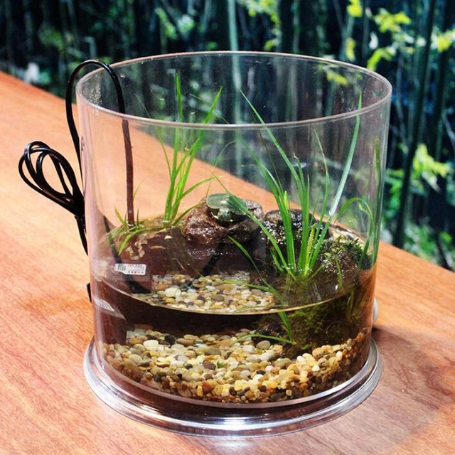Decorative Clear Acrylic Fish Tank Small Aquarium Container Desktop Kids   Bowl 3