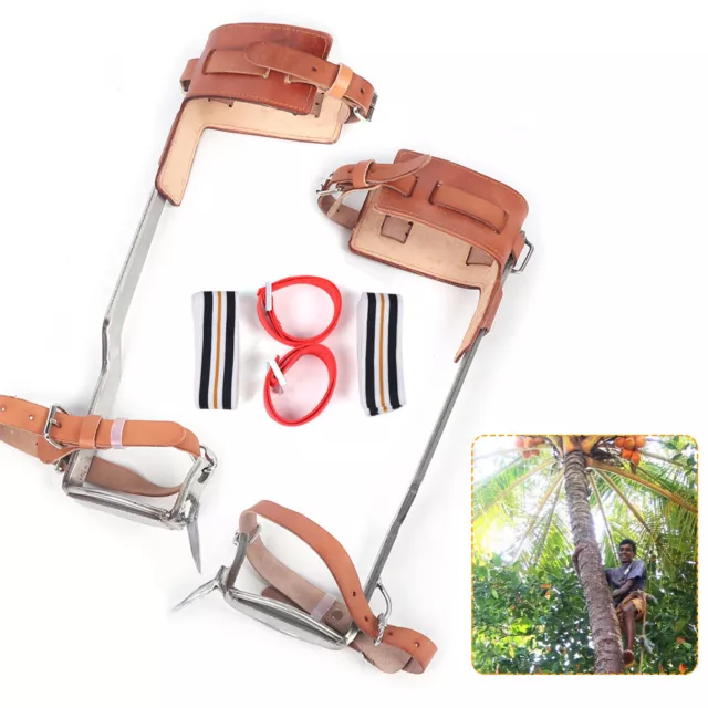 Tree Climbing Gear Kit for Tree Work Tree Climbing Tool with Tree Spikes 200KG