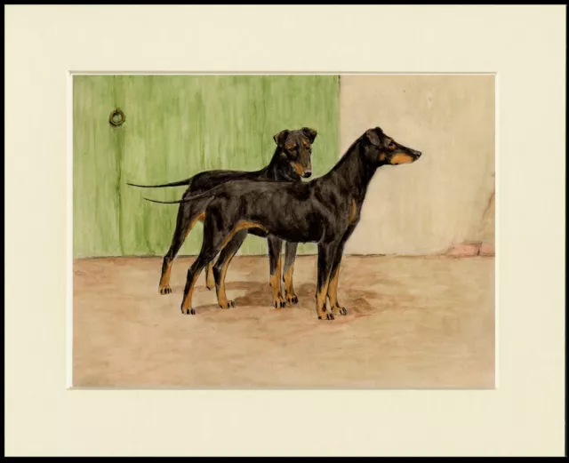 Manchester Terrier Two Dogs Great Dog Print Mounted Ready To Frame