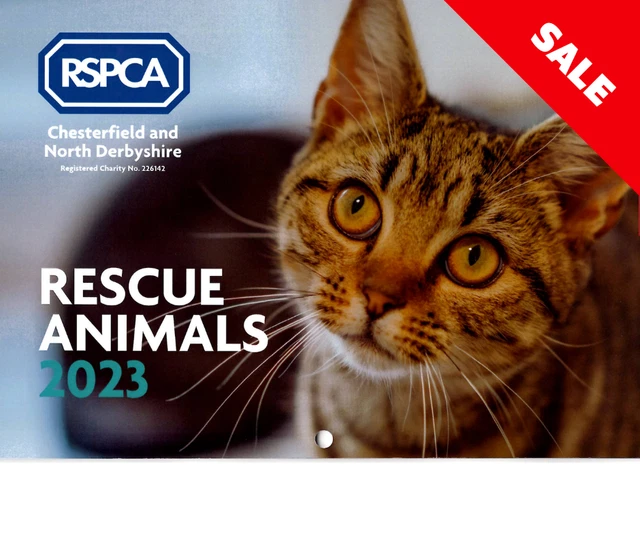 RSPCA 2023 A4 landscape wall charity calendar planner organiser month