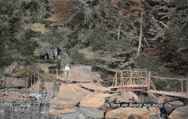 Mianus, Greenwich, Ct, Ravine Near Dumpling Pond, Bridge, Globe Art Pub 1907-14