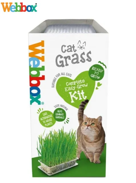 6 Pack Webbox Cat Grass Easy Grow Kit Cat Treat Helps Eliminate Hairballs 120G