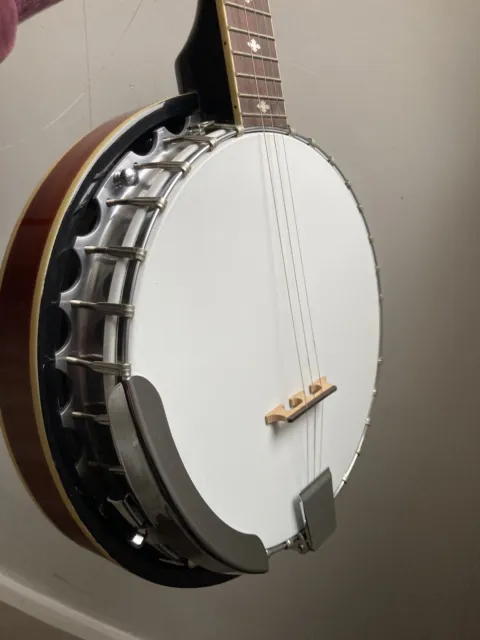 Stagg 5 String Banjo 3