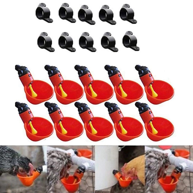Parrots Chicken Drinking Bowl Poultry Drinker Pet Spherical Accessories