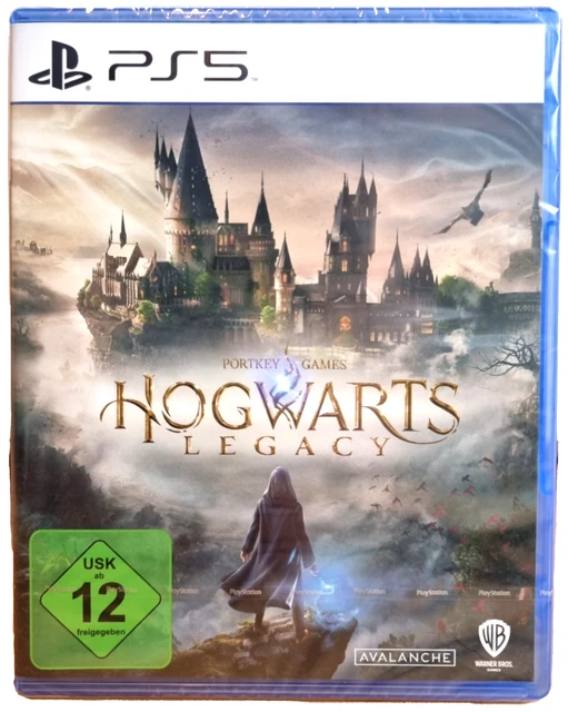 Carnet Hogwarts Legacy - Harry Potter Papeterie chez
