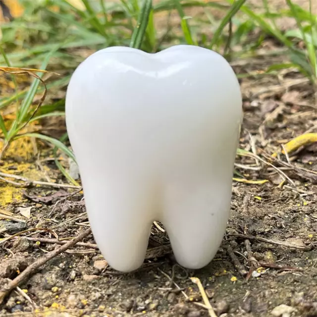 1pc Natural white jade tooth skull hand carved Quartz Crystal skull Healing