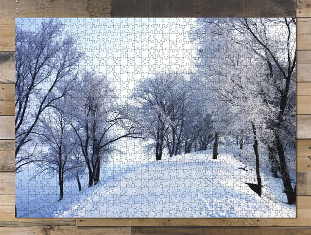 1000 piece puzzle for adults: Nature Trees Landscape