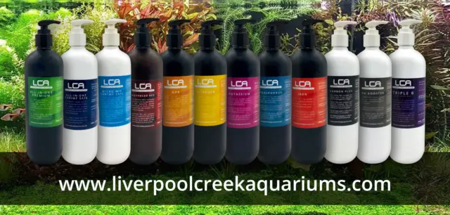 LCA - Algae Control Aquatic Plant  Pack / Live Aquariums/Pond/ Shrimp /Fish Tank 2