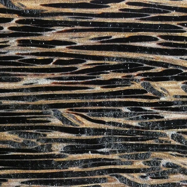 Precioso NEGRO PALMA Madera en Blanco, ¡perfecto para tu proyecto de torneado de madera!