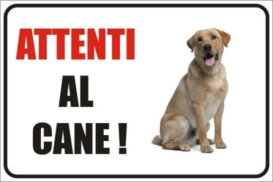 "Attenti Al Cane" Schild Aus Aluminium – 2 Stück, 30x15 Cm, Wetterfest & UV-beständig | Für Garten, Haus, Tür