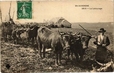 CPA in Auvergne - the plowing (72864)