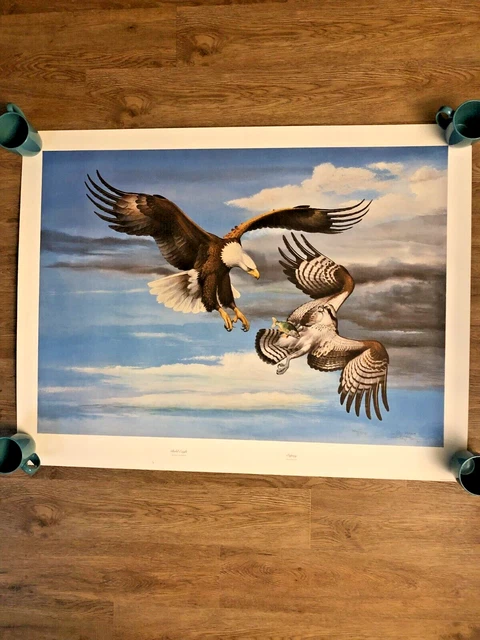 Ray Harm Print - Bald Eagle- Osprey- Signed Number #306/700 Ray Harm Print - Bald Eagle- Osprey- Signed Number #306/700