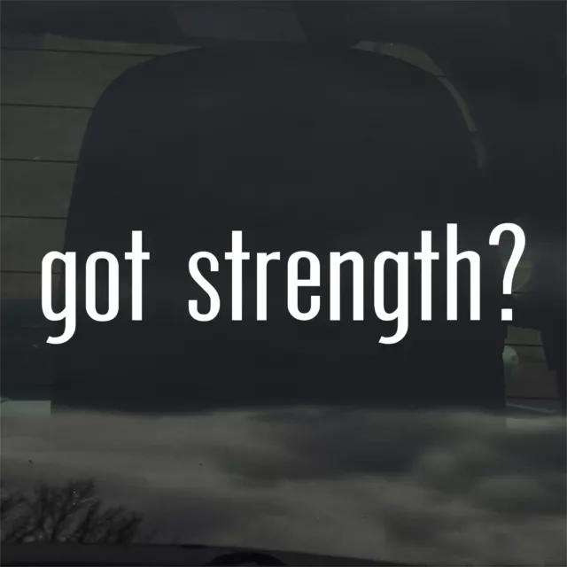 Got Strength? Custom Vinyl Sticker/Decal Video Game, RPG, Role Play, Might, STR